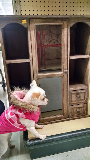 Craft Store «Hobby Lobby», reviews and photos, 12550 Amargosa Rd C, Victorville, CA 92392, USA