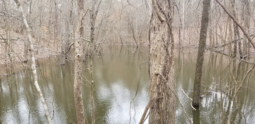 Battle Site «Allatoona Pass Battlefield», reviews and photos, Old Allatoona Rd SE, Cartersville, GA 30121, USA