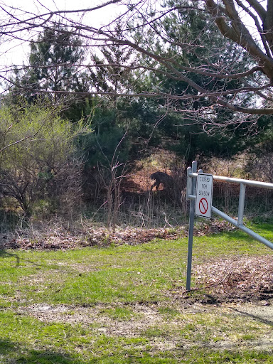 Nature Preserve «Farmington Hills Nature Center», reviews and photos, 24915 Farmington Rd, Farmington Hills, MI 48336, USA