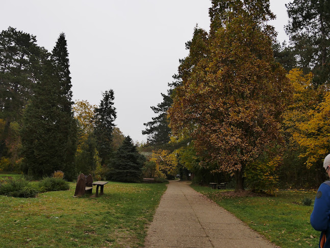 Gödöllői Arbo-park - Egyetem