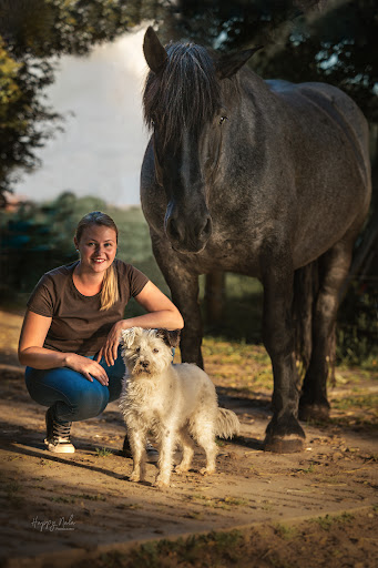 Tierheilpraxis Pferd & Pfötchen unter Kammeltal, Bayern