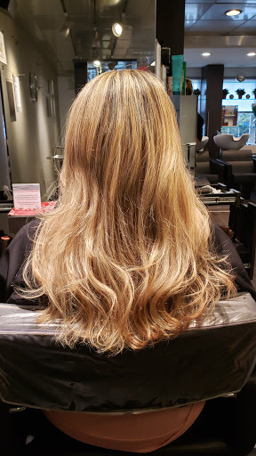 Spa «Calista Grand», reviews and photos, 1211 Wilmington Pike, West Chester, PA 19382, USA