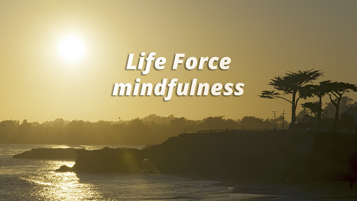 Life Force Mindfulness Barcelona