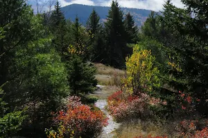Silver Mountain Trail image