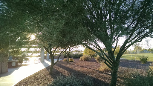Park «Pioneer Community Park», reviews and photos, 8755 N 83rd Ave, Peoria, AZ 85345, USA