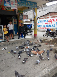 Tienda Don Yilo Cuadra