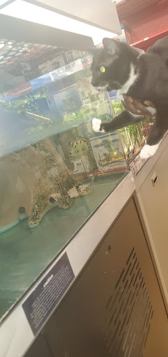 Pet Supply Store «Petco Animal Supplies», reviews and photos, 1951 N Military Trl c, West Palm Beach, FL 33409, USA