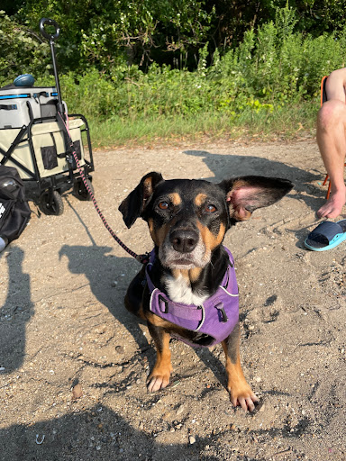 Park «Croton Point Park», reviews and photos, 1 Croton Point Ave, Croton-On-Hudson, NY 10520, USA