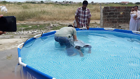 Iglesia Cristiana Plenitud de Dios Playas