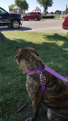 Park «Walter & Mary Burke Park», reviews and photos, 36300 Front St, New Baltimore, MI 48047, USA