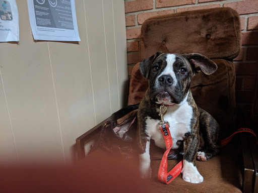 Indian Springs Veterinary Clinic