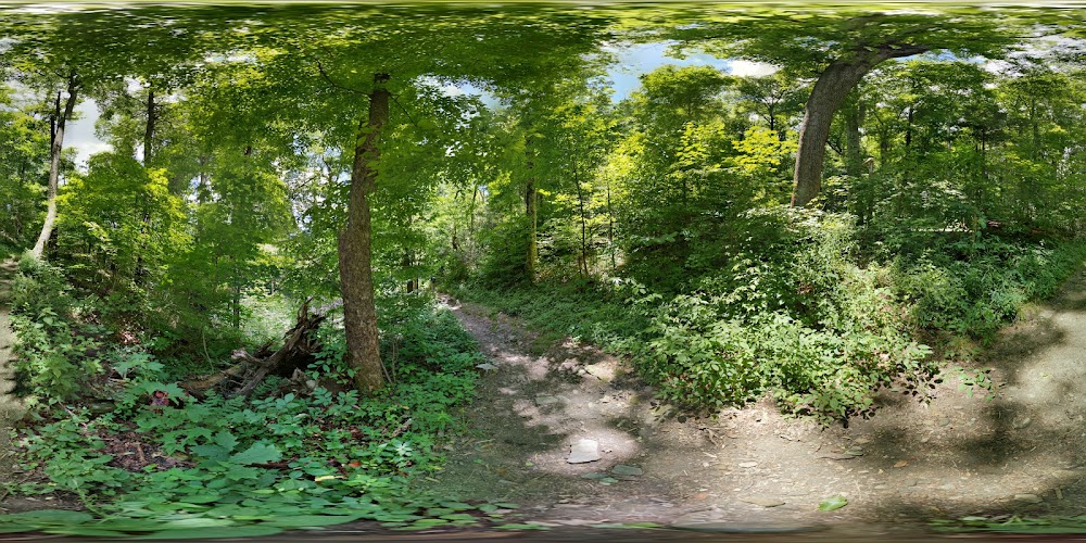 Hiking area near Celebration Lodge- Four-bedroom Cabin