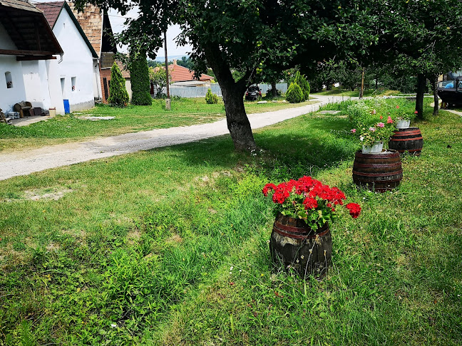 Comentarii opinii despre Mérleg És Méréstörténeti Gyűjtemény