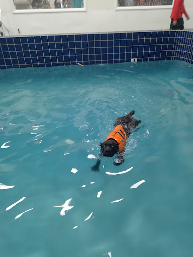 Pet Supply Store «Pet Depot Inc», reviews and photos, 2151 Greenspring Dr, Lutherville-Timonium, MD 21093, USA