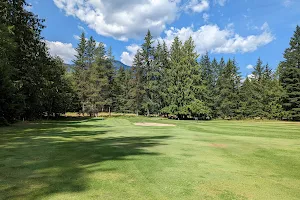 Slocan Lake Golf Club image