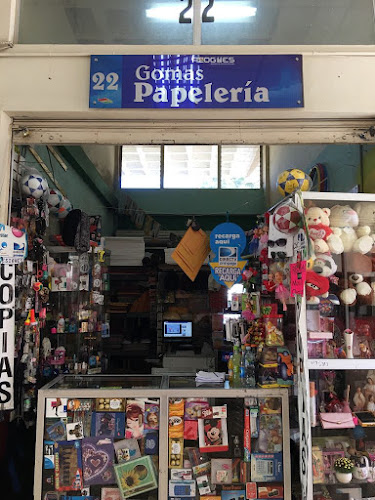 Gomas Papelería Corresponsal Solidario JARDÍN AZUAYO - Tienda