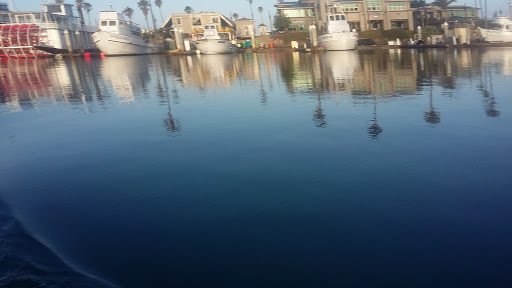 Island Packers Cruises - Oxnard image