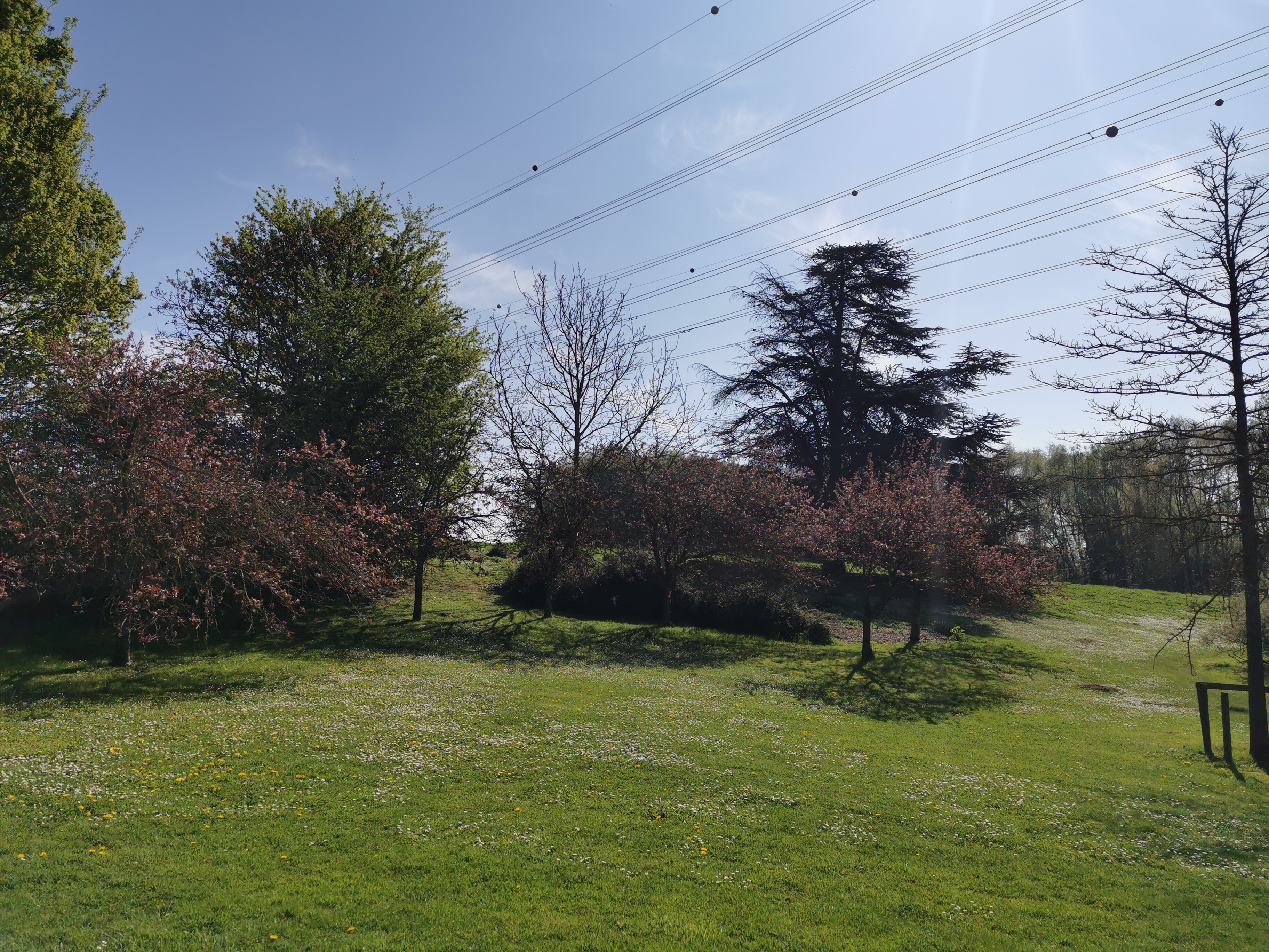 Photo n° 41 de l'avis de Fokop.i fait le 17/04/2022 à 14:37