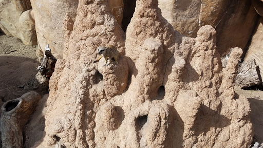 Zoo «Cheyenne Mountain Zoo», reviews and photos, 4250 Cheyenne Mountain Zoo Rd, Colorado Springs, CO 80906, USA