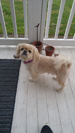 Park «Gorge Metro Park», reviews and photos, 1160 Front St, Cuyahoga Falls, OH 44223, USA