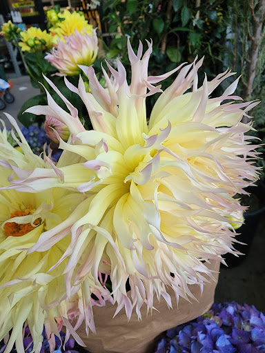 Home Improvement Store «The Home Depot», reviews and photos, 2121 Cadenasso Dr, Fairfield, CA 94533, USA