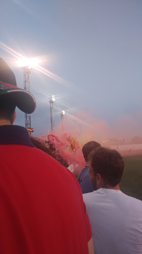 Stadium «Keyworth Stadium», reviews and photos, 3201 Roosevelt St, Hamtramck, MI 48212, USA