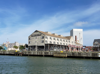 Historic Harbor Tours and Dolphin Watch