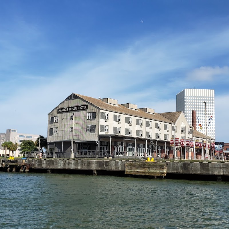 Historic Harbor Tours and Dolphin Watch