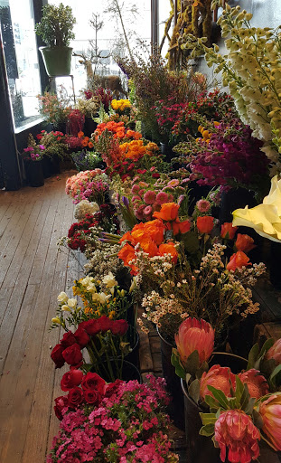 Florist «A New Leaf», reviews and photos, 1645 N Wells St, Chicago, IL 60614, USA