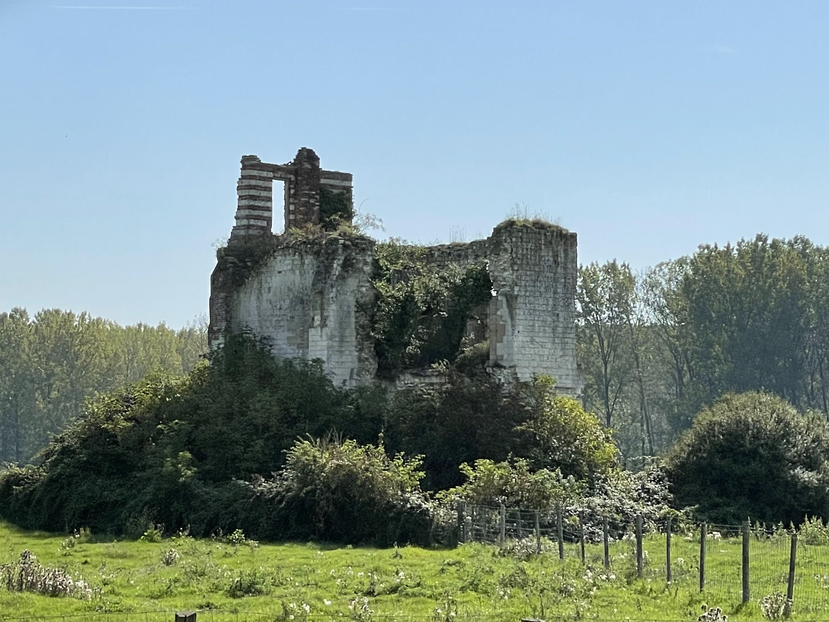 Photo n° 1 de l'avis de Stefaan.i fait le 09/09/2023 à 19:44