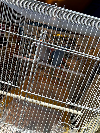 Pet Store «Carters Pet Mart», reviews and photos, 510 N Main St, Manteca, CA 95336, USA