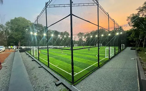 Puskas 2.0 Football & Cricket Turf image