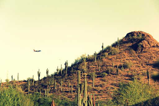 Botanical Garden «Desert Botanical Garden», reviews and photos, 1201 N Galvin Pkwy, Phoenix, AZ 85008, USA