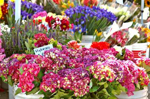 Florist «Frances Flower Shop», reviews and photos, 1222 W Capitol Ave, Little Rock, AR 72201, USA