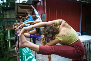 Chinmay Yoga Teacher Training in Dharamsala, India image