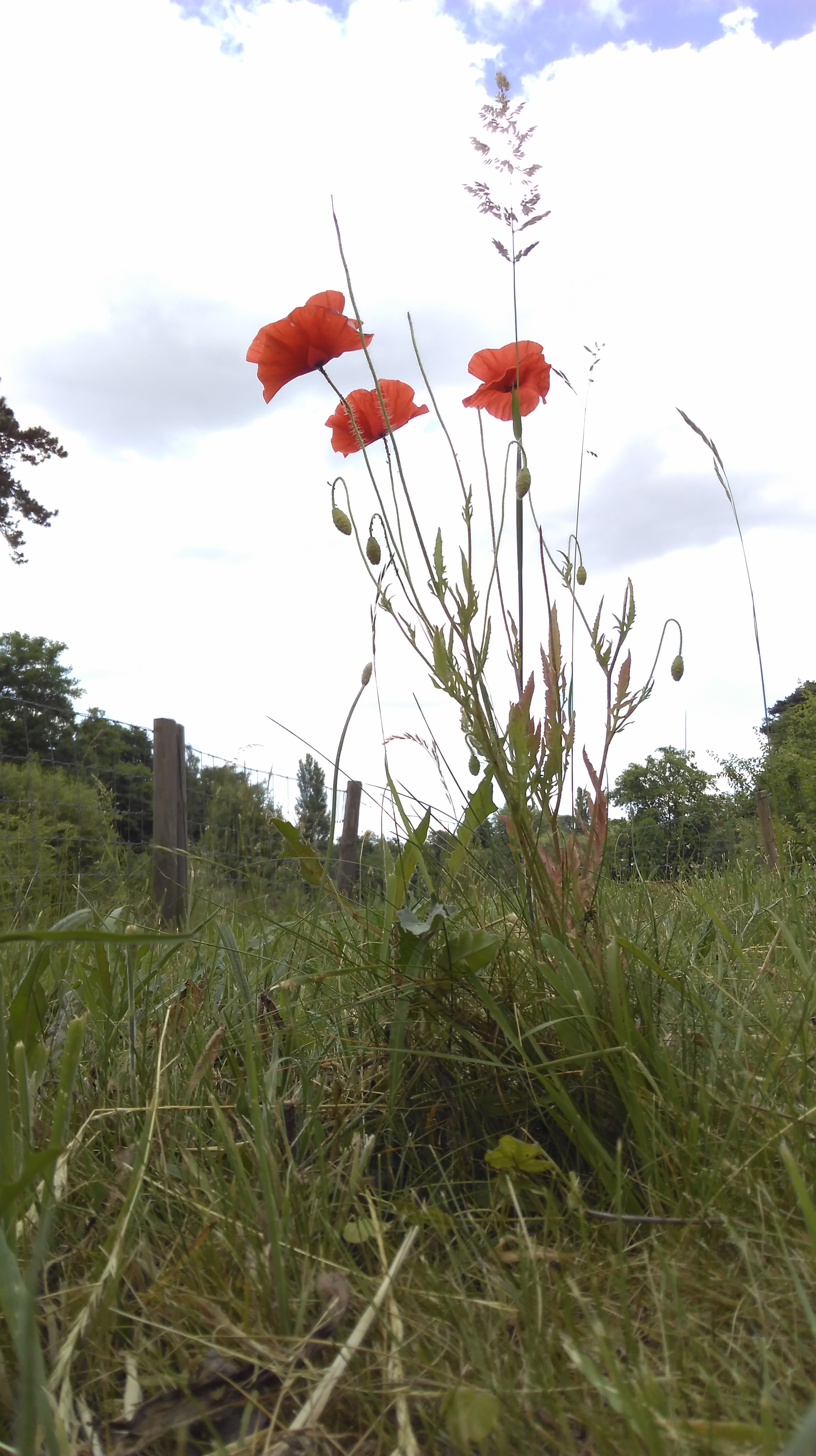 Photo n° 3 de l'avis de Delka. fait le 17/07/2017 à 18:45