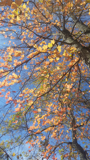 National Park «First State National Historical Park - Peters Rock Parking», reviews and photos, Thompsons Bridge Rd, Wilmington, DE 19803, USA