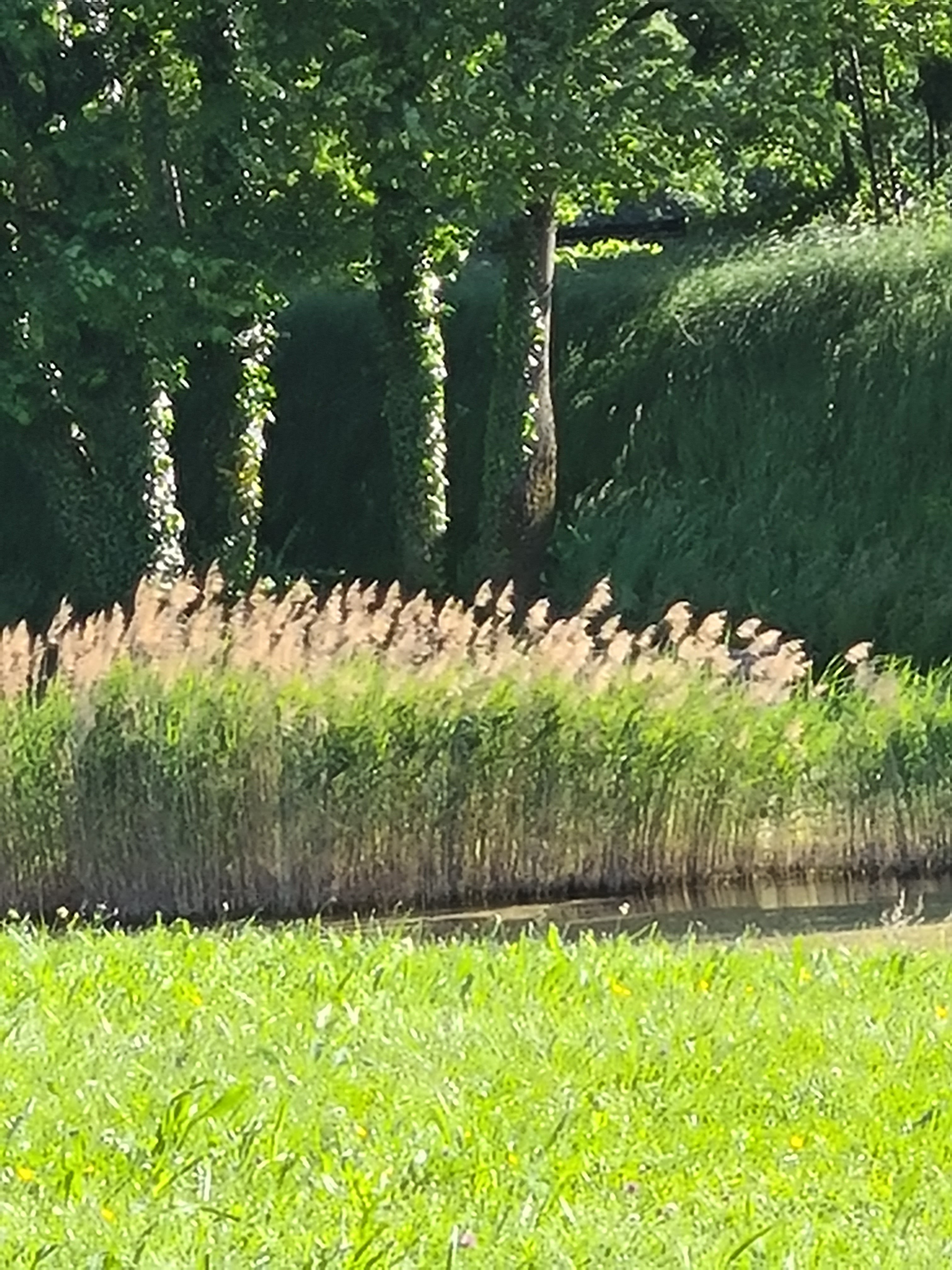 Photo n° 1 de l'avis de Simonin.s fait le 26/05/2020 à 21:21