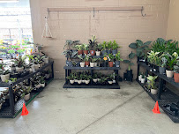 Walmart - Photo 9 - Car repair in La Mesa, CA, El Cajon