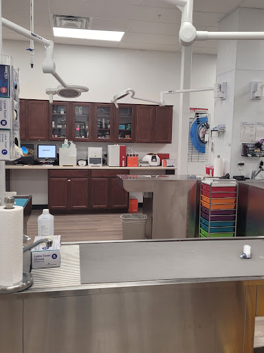 Pet Supply Store «Pet Club Cave Creek», reviews and photos, 4725 E Carefree Hwy, Cave Creek, AZ 85331, USA