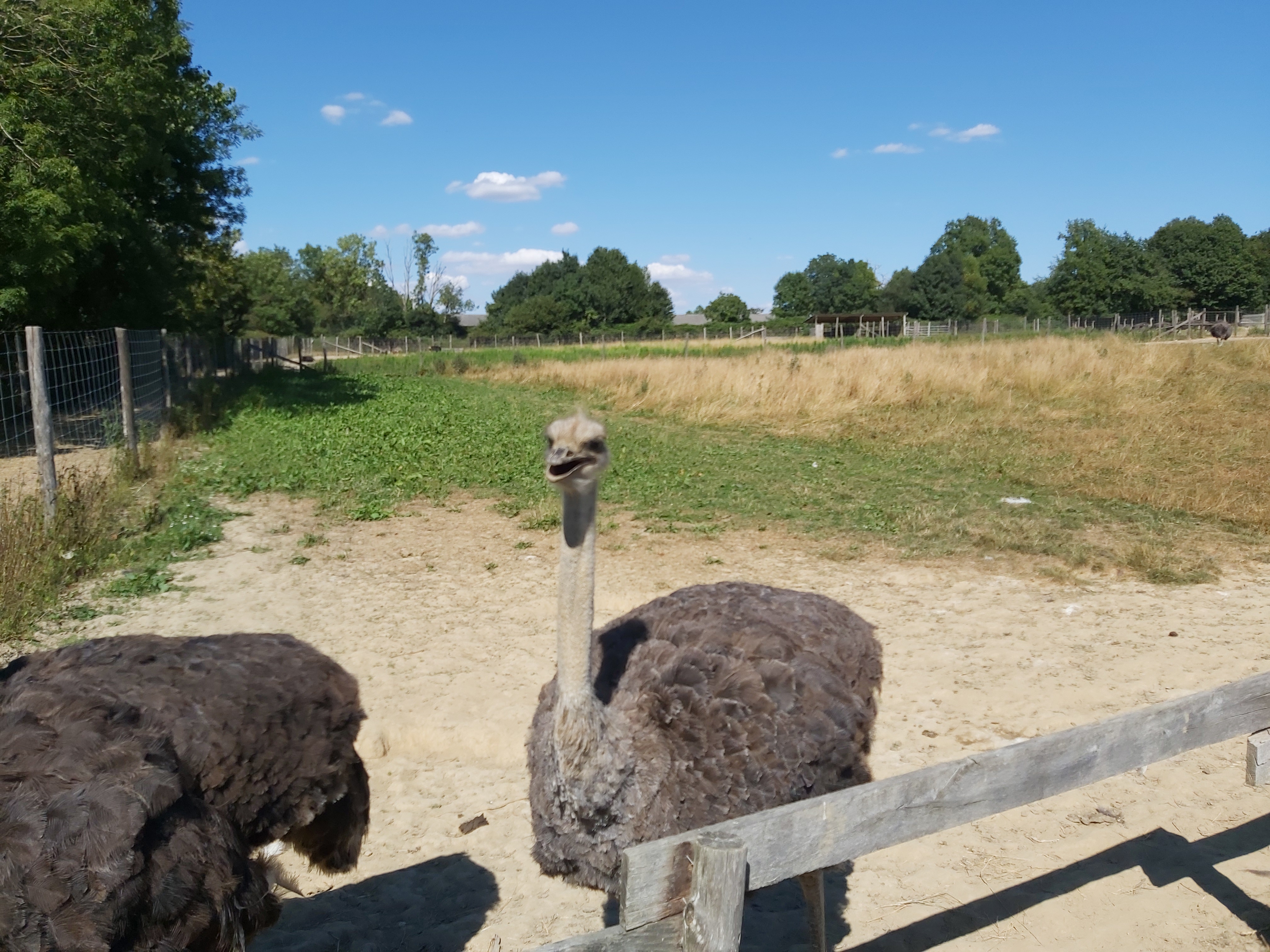 Photo n° 11 de l'avis de Guigeek_22. fait le 25/07/2020 à 21:01