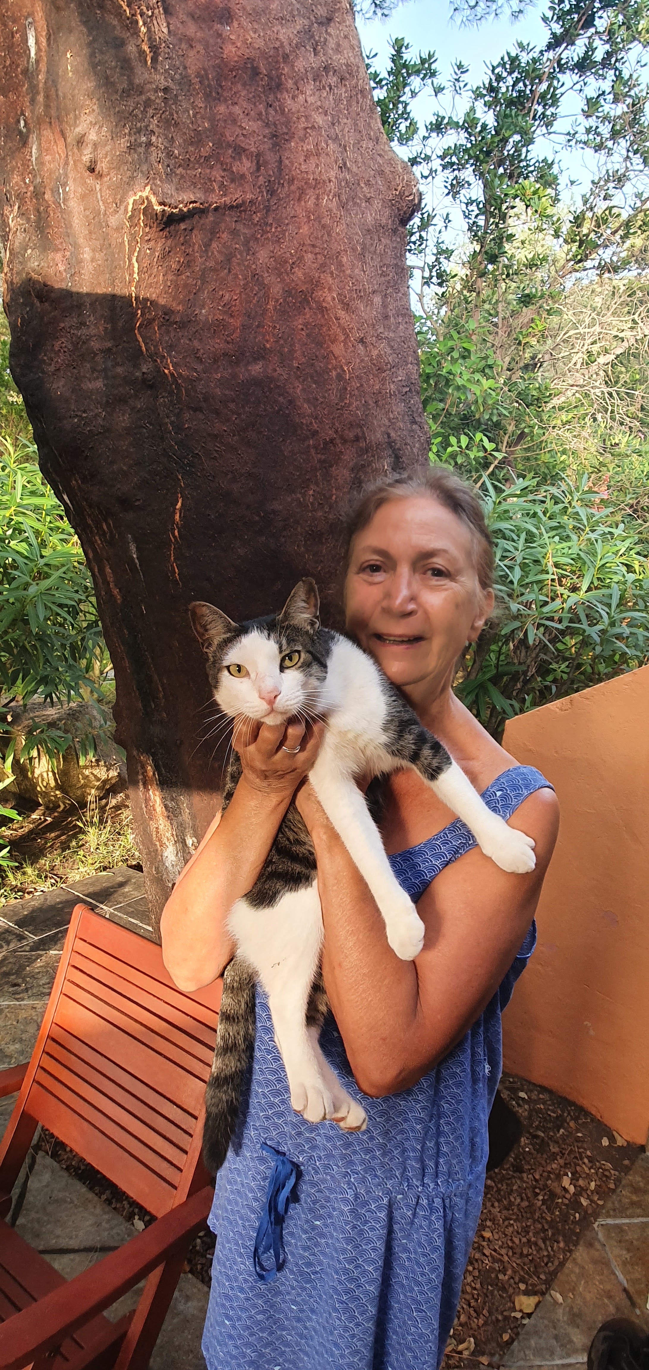 Photo n° 9 de l'avis de Serge.i fait le 10/08/2020 à 21:32