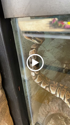 Pet Supply Store «Petco Animal Supplies», reviews and photos, 848 N Colony Rd c, Wallingford, CT 06492, USA