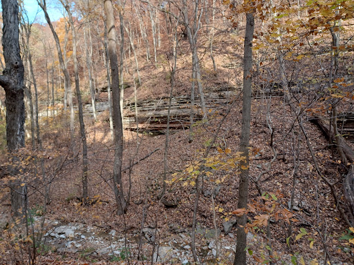 Johnson Trail