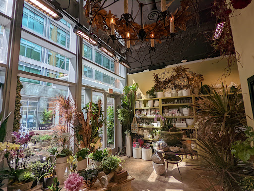 Florist «Mayflowers», reviews and photos, 11959 Market St, Reston, VA 20190, USA