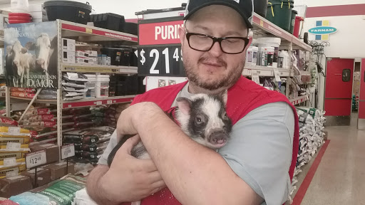 Home Improvement Store «Tractor Supply Co.», reviews and photos, 1701 Massey Blvd #629, Hagerstown, MD 21740, USA