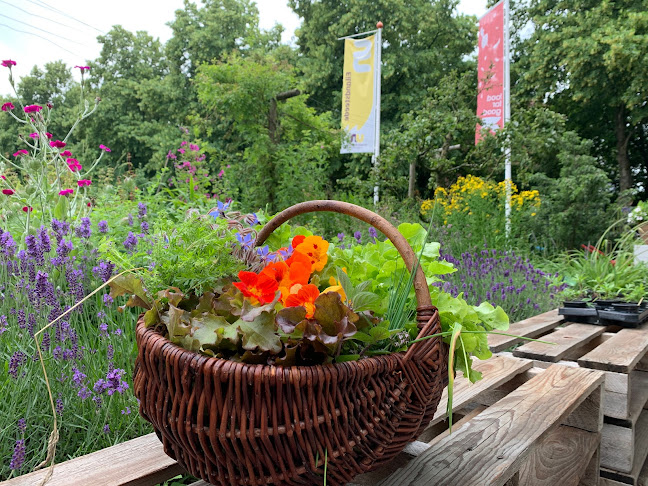 https://www.utrechtnatuurlijk.nl/locaties/stadstuin-foodforgood/