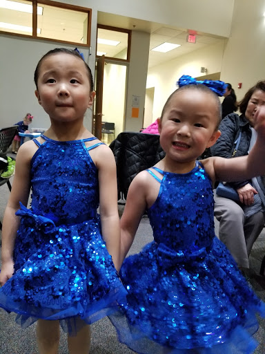 Performing Arts Theater «Buffalo Grove Park District Community Arts Center», reviews and photos, 225 McHenry Rd, Buffalo Grove, IL 60089, USA