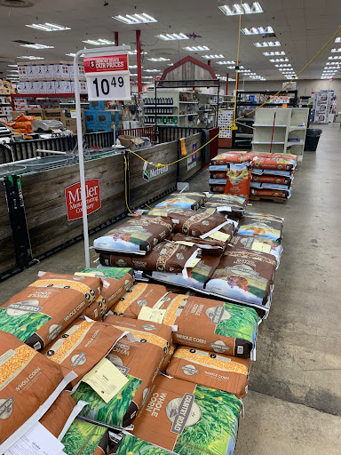 Department Store «Rural King», reviews and photos, 465 South St, Front Royal, VA 22630, USA