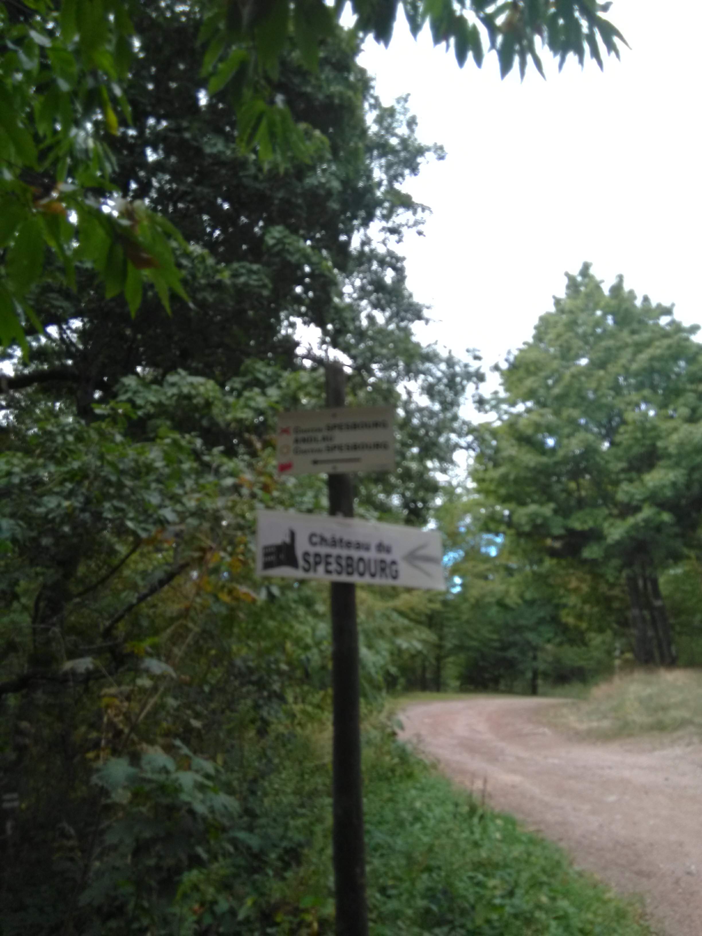 Photo n° 1 de l'avis de Dmitriy.i fait le 27/09/2019 à 10:07